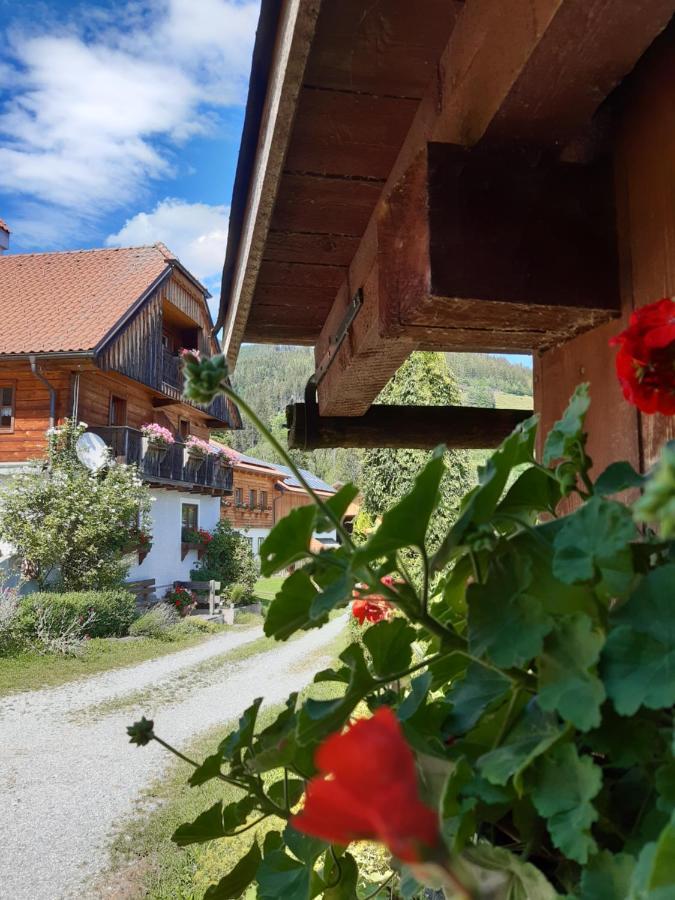 Troadkasten - Ferienhaus Am Bio-Bergbauernhof Aflenz Kurort Exterior foto