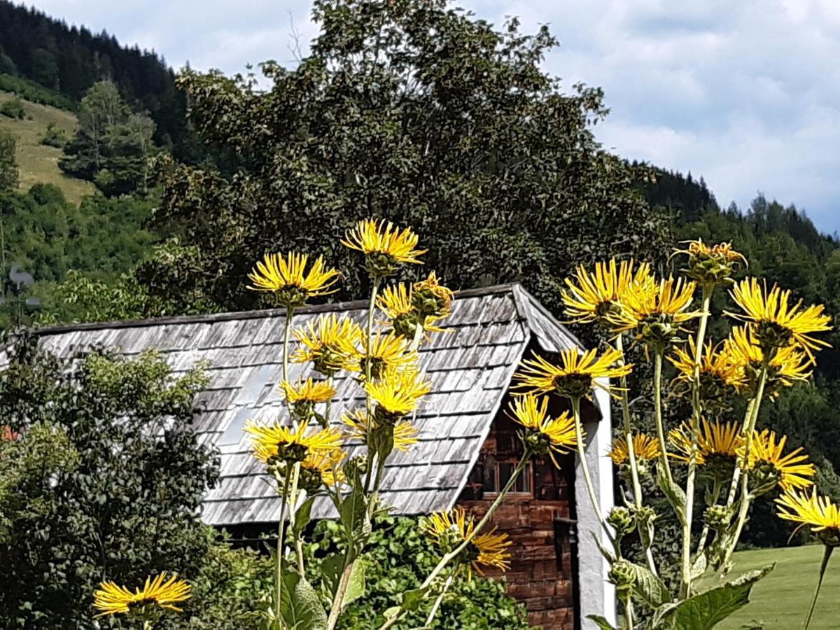 Troadkasten - Ferienhaus Am Bio-Bergbauernhof Aflenz Kurort Exterior foto