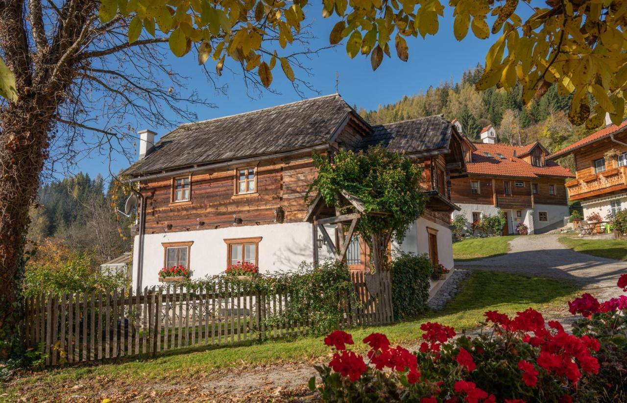 Troadkasten - Ferienhaus Am Bio-Bergbauernhof Aflenz Kurort Exterior foto